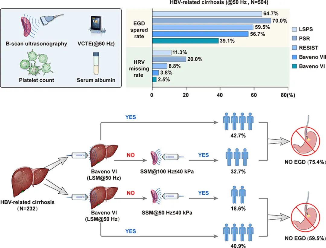 JOH丨南方医科大学陈金军教授团队：脾脏硬度测量可减少75%慢乙肝肝硬化的胃镜筛查
