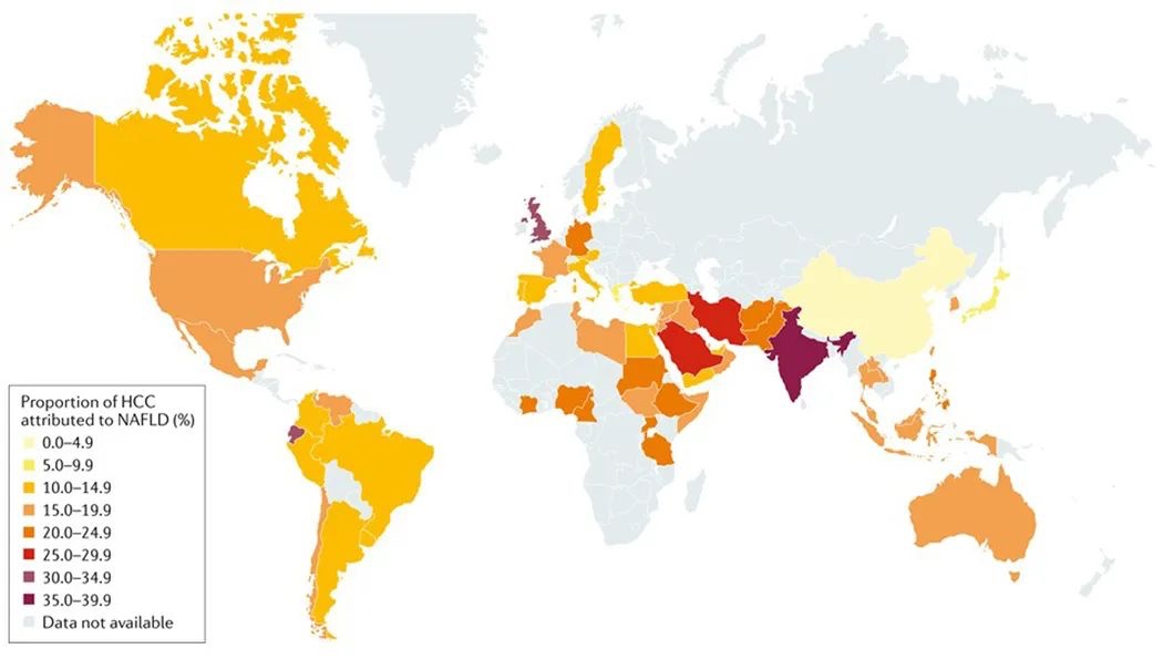 Nature 综述：中国脂肪肝相关肝癌发病率将升高86%，急需预防！
