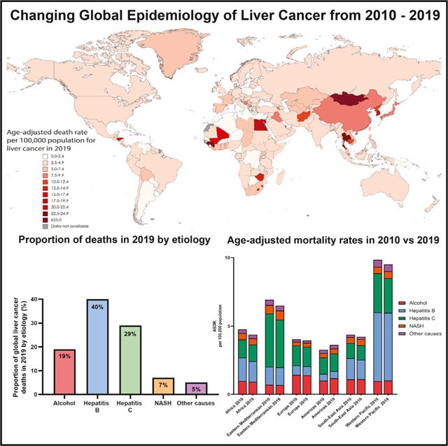 2010-2019年全球肝癌流行病学变化：NASH为肝癌最快增长病因